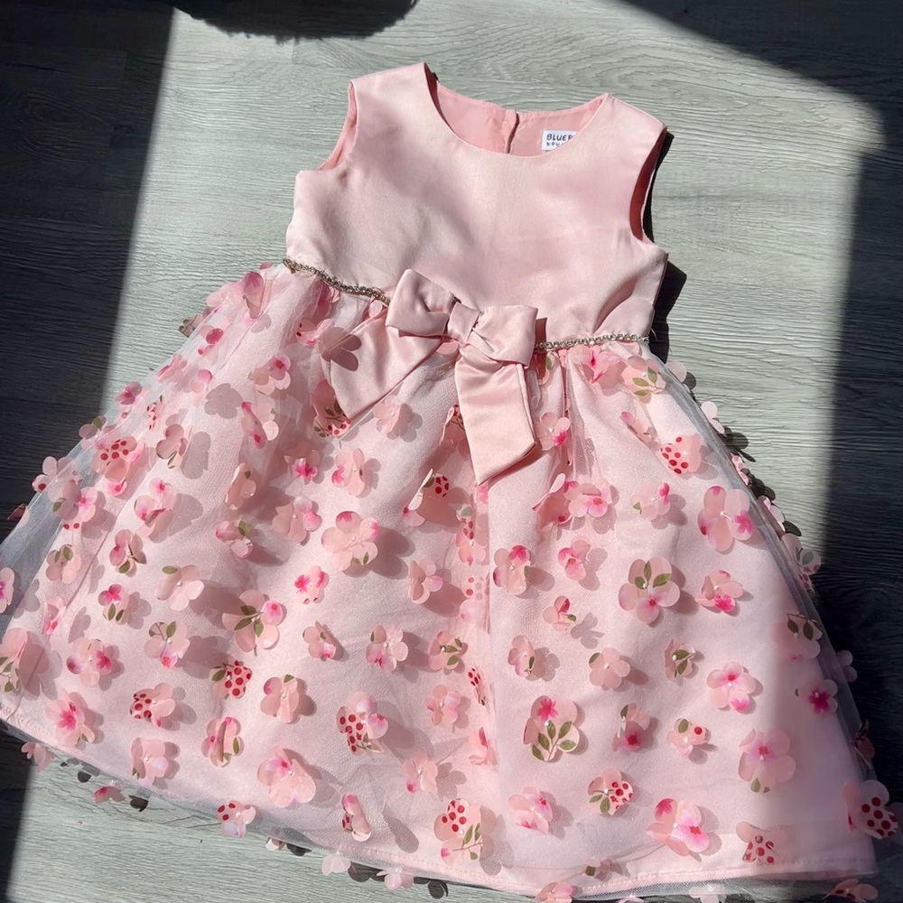 Blueberi Boulevard Pink Dress with Floral Accents can fit 3T